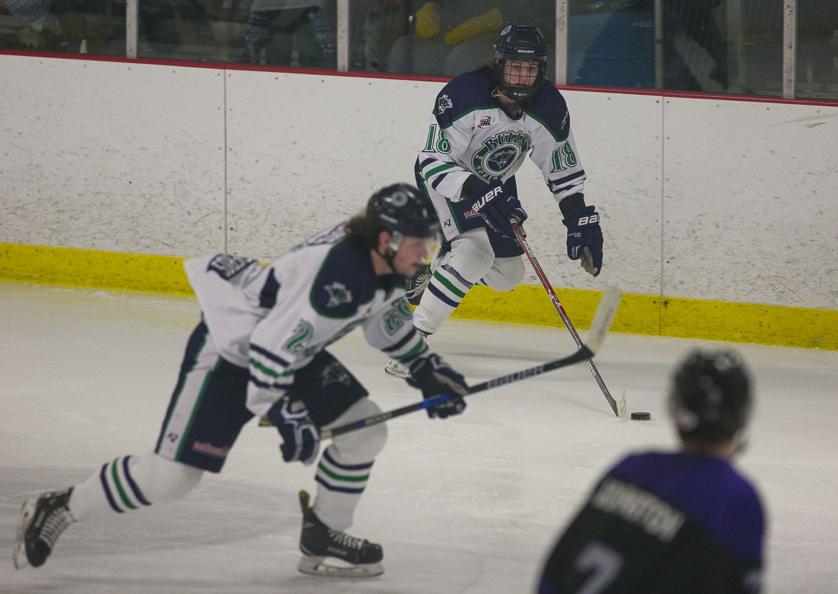Hockey Bulls vs. Wausau 7